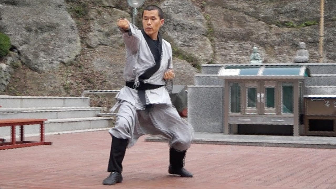 Seonmudo (Zen martial arts) (1)