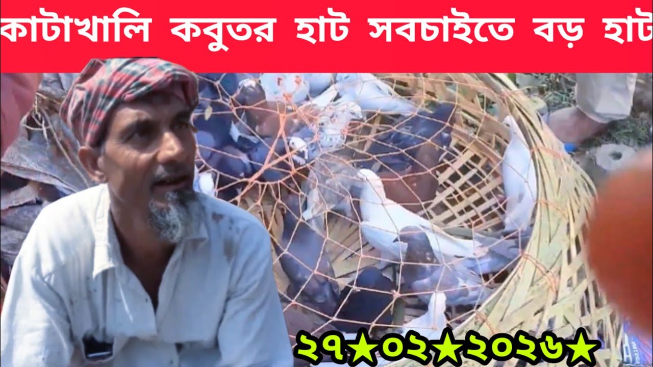 কাটাখালি রাজশাহী কবুতর হাট|| কাটাখালি হার্ট একটা নাম করা হাট ||#realpigeonlover #video #pigeon 