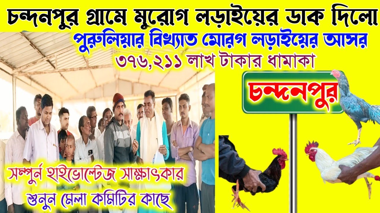  চন্দনপুর গ্ৰামে বিরাট মুরোগ লড়াইয়ের ডাক দিলো।৩৭৬২১১লাখ টাকার ধামাকা।৯ই ফাল্গুন। সাক্ষাৎকার শুনুন।