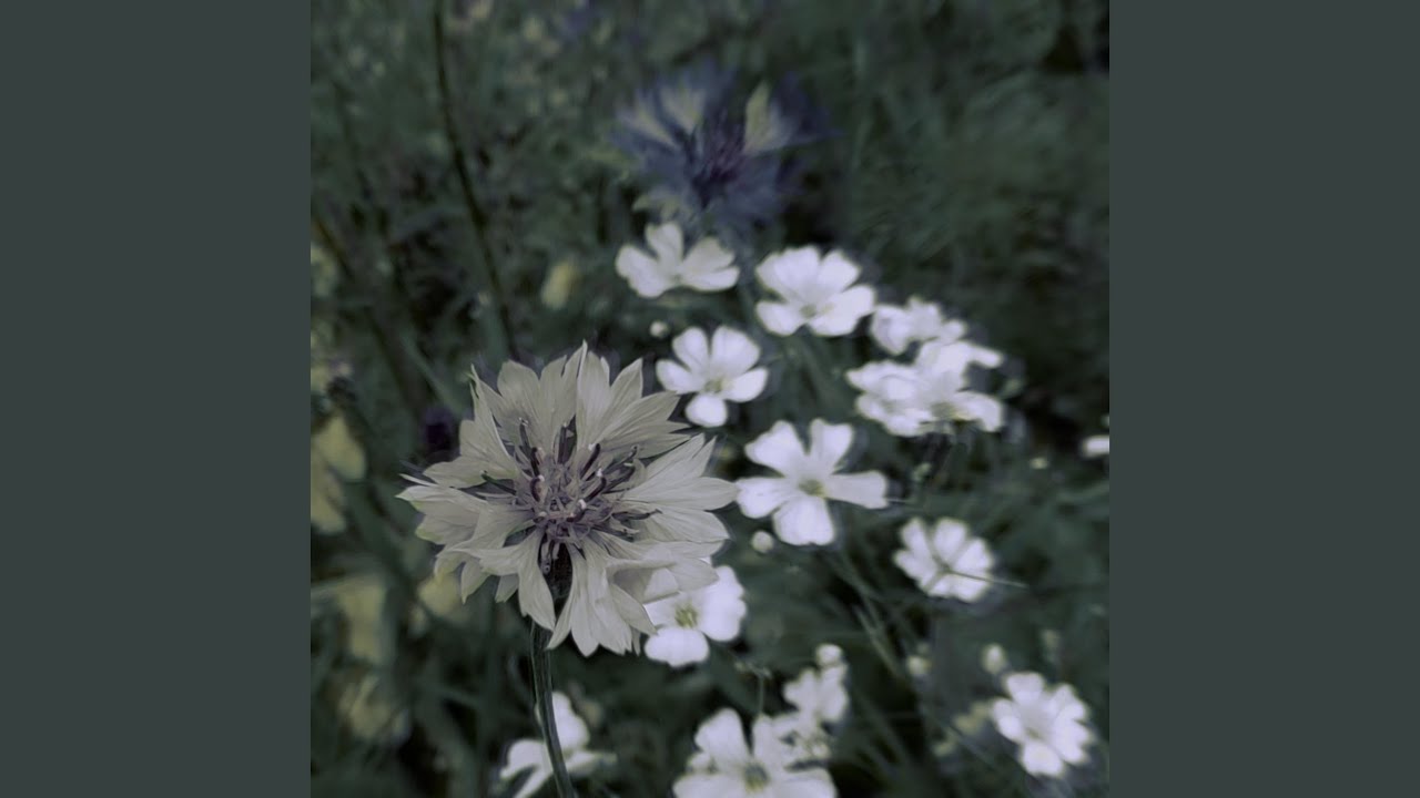 Deep in the Garden