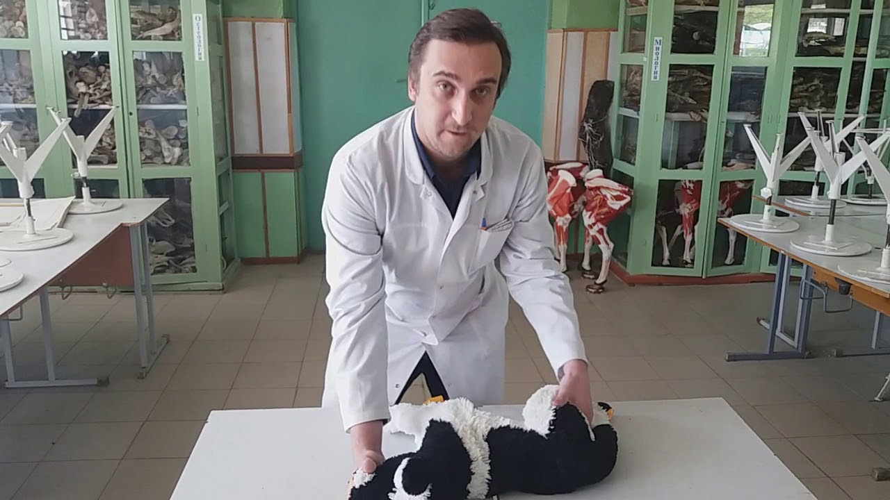 Реанимация своими силами