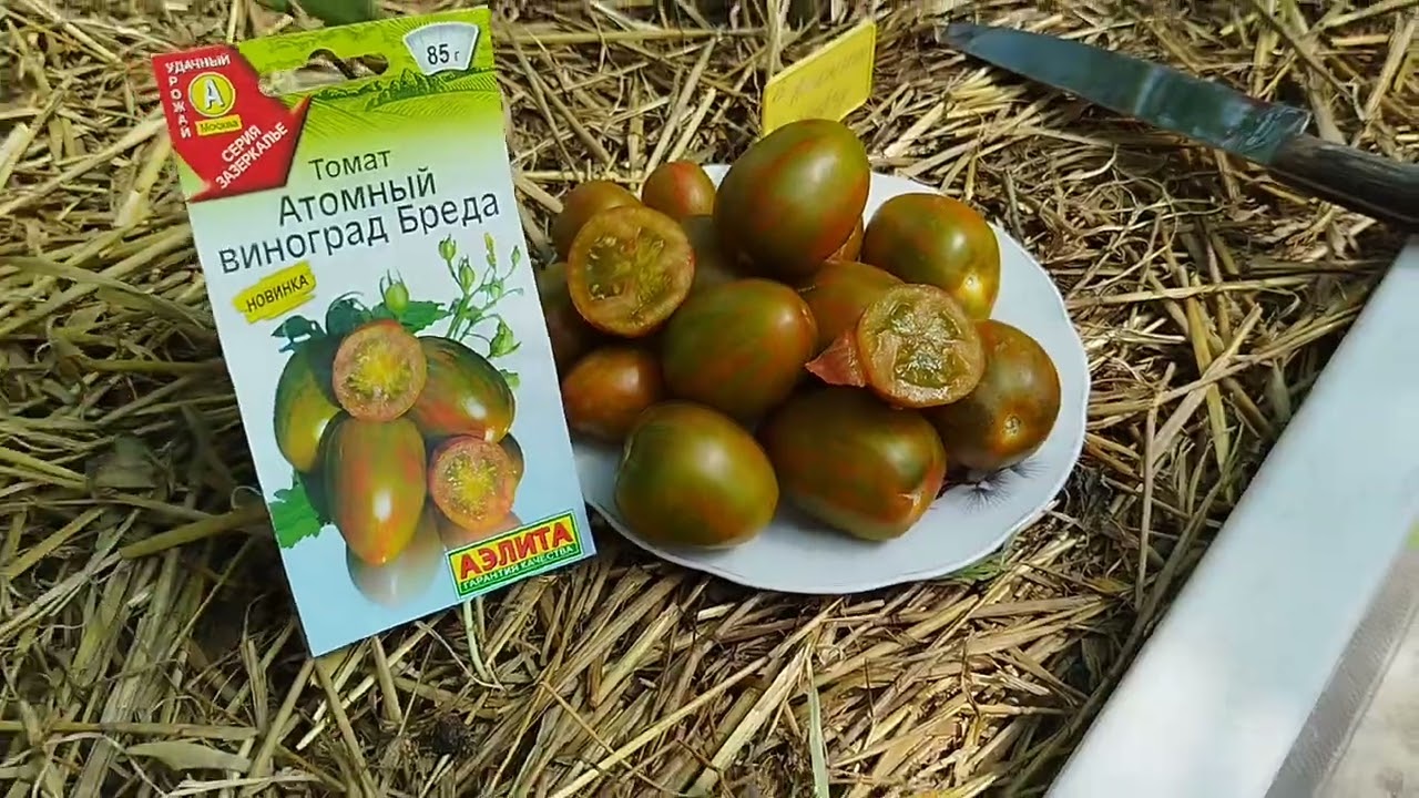 всех-всех благодарю!🍅 следующий обзор томата,, атомный виноград Бреда,, 🍅