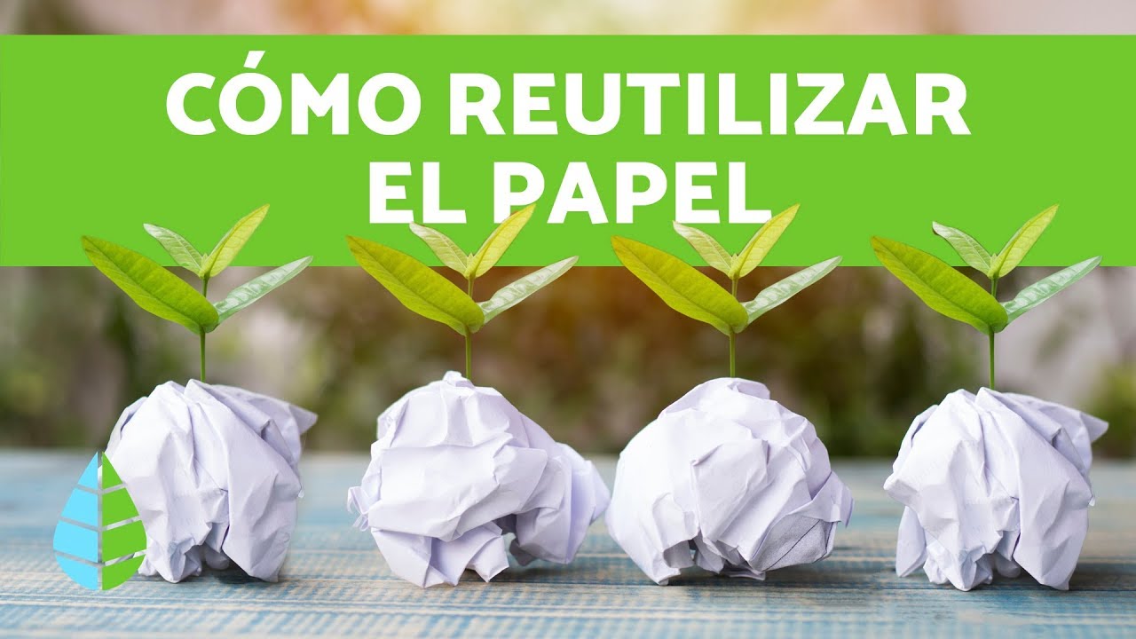 Tiempo de DEGRADACIÓN DEL PAPEL ⏱️📄♻️ (Cómo REUTILIZAR PAPEL)