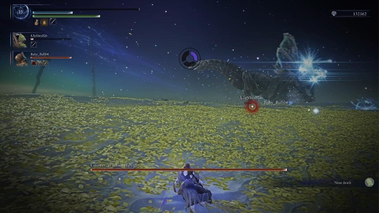 Elden Ring Nightreign: I Really Miss Pre Buff Animus...