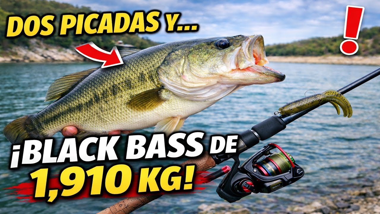 Pesca del Black Bass con señuelo artificial | Dos picadas y bass de 1,910 kg