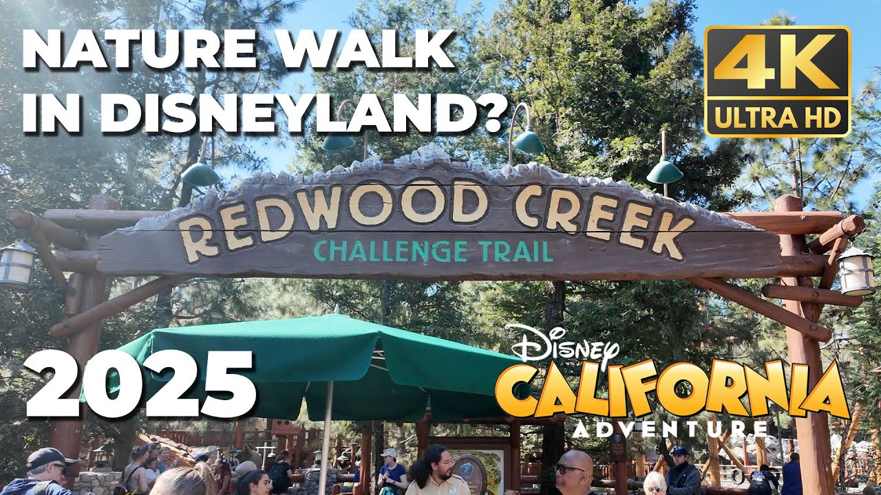 [4K] Redwood Creek Challenge Trail | 2025 Full Walkthrough | Disney California Adventure