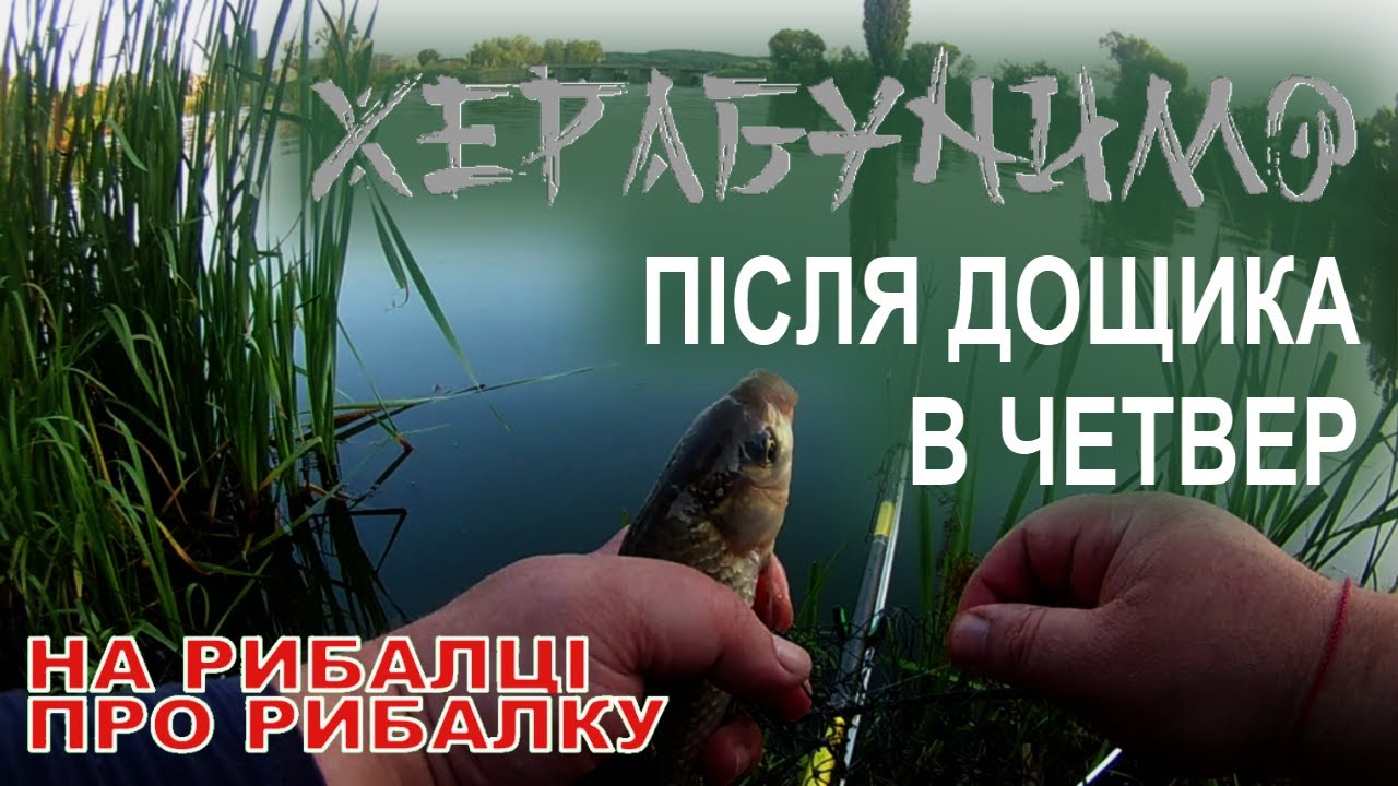 За карасем з херабуною  | Заптитання та відповіді і ще дещо корисне...