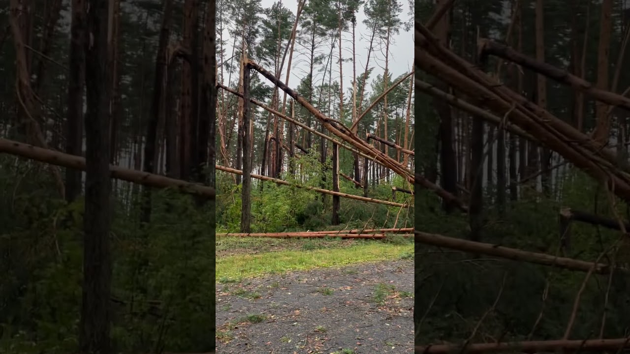 Ураган вблизи Речицы😰. Хутор🌲 уцелел , продолжаем парить во всю💪.