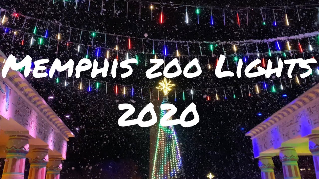 Memphis Zoo Lights 2020 | KUWTS