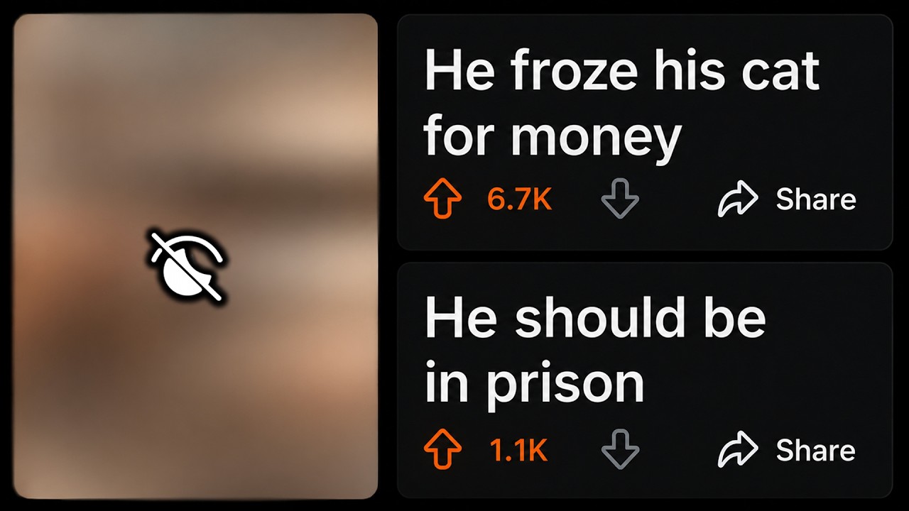 Reddit действительно поймал ютубера на том, что он заморозил котенка ради денег?