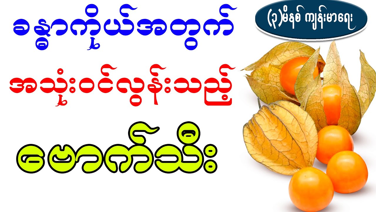 ခန္ဓာကိုယ်အတွက် အသုံးဝင်လွန်းသည့် ဗောက်သီး၊ health benefit of cape gooseberry fruit