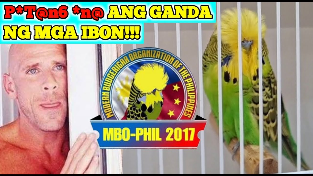 BIRDS SHOW SA ROBINSON'S MALABON by: MBO-PHIL 2017