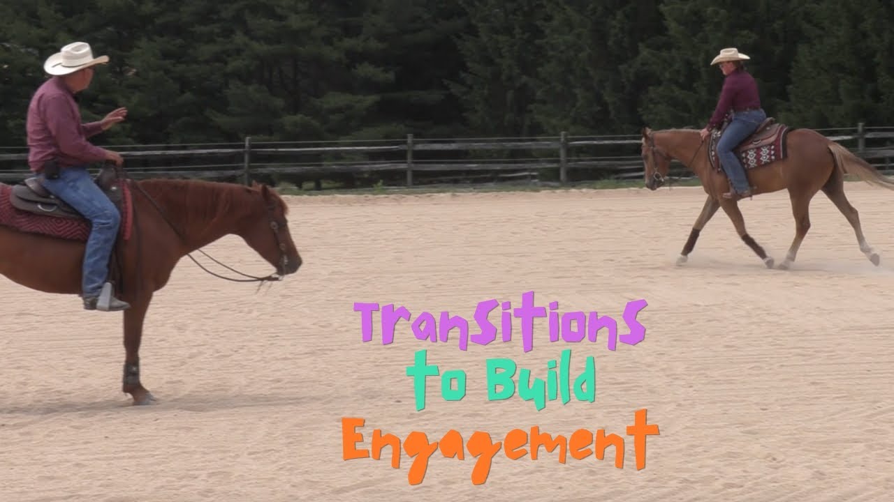 Using Transitions to Build Your Horse's Engagement (Episode 213) - Herm Gailey: Lifetime with Horses