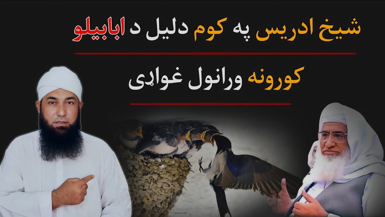 Shikh idrees pa kom daleel da Ababeelo koruna wranawal ghwari | Molana Muhammad yousuf Buniri | ishq