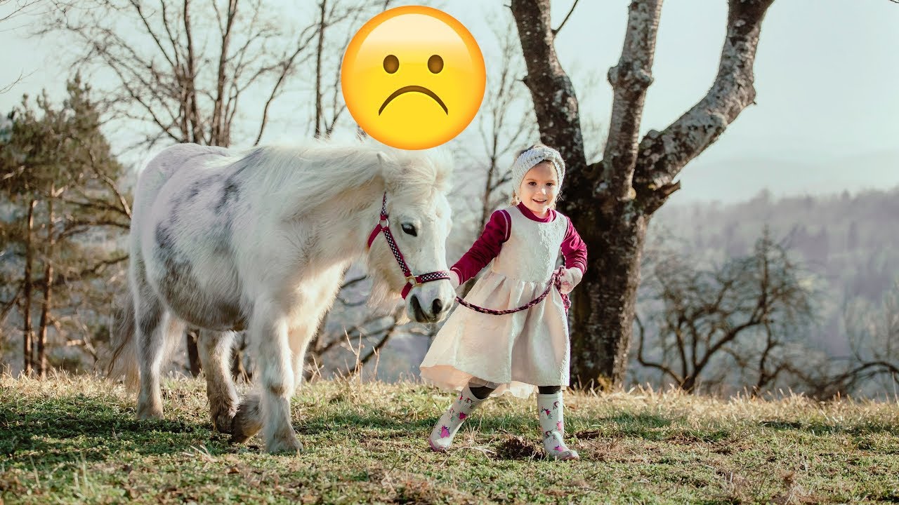 Ali jo bo ustavila brca ponija? In kje je Jernej?