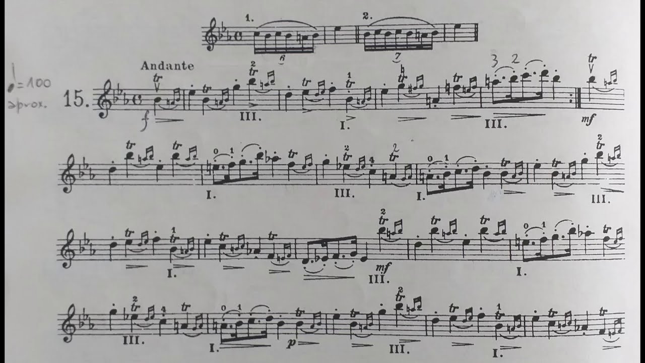 Heinrich Ernest Kayser. Violin Etudes Op. 20, Nº 15 - FABRICIO VALVASORI
