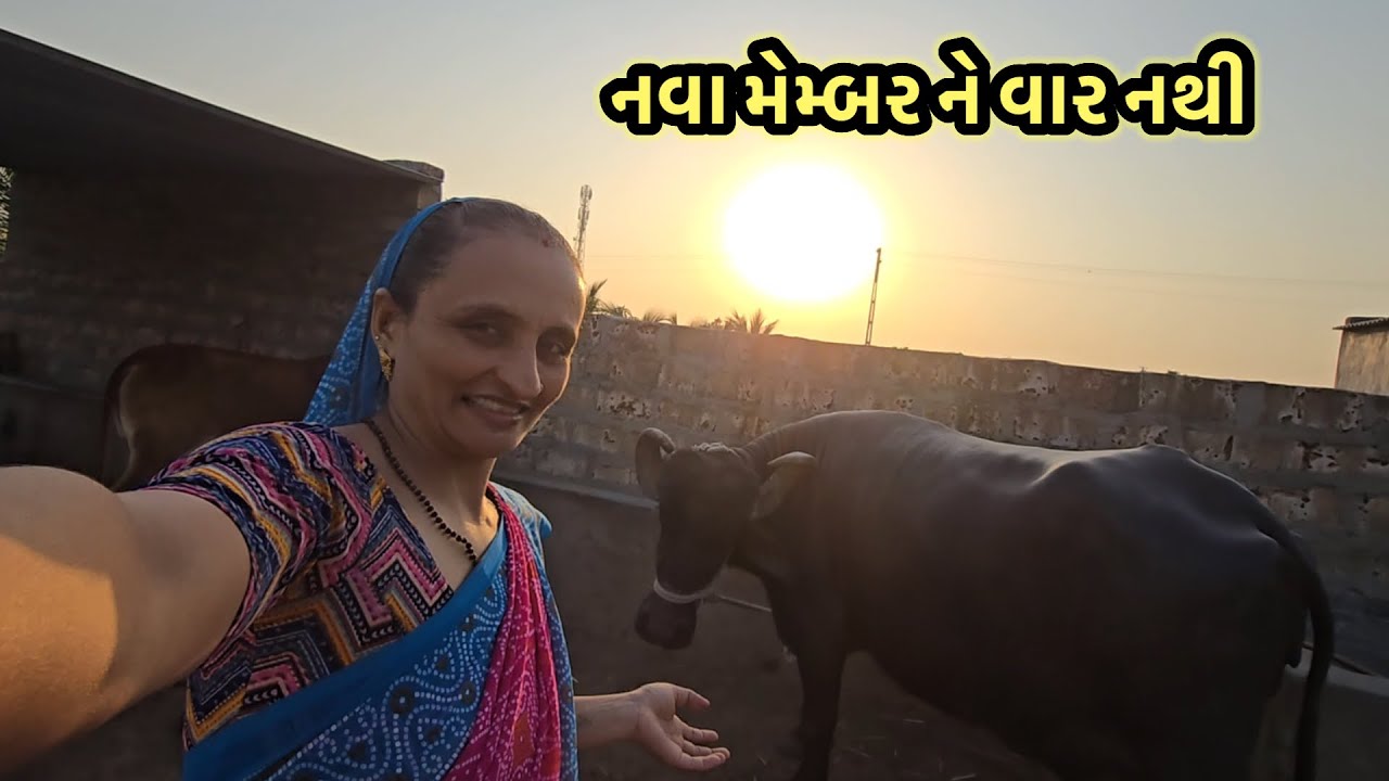 નવા મેમ્બર ને વાર નથી || village life 