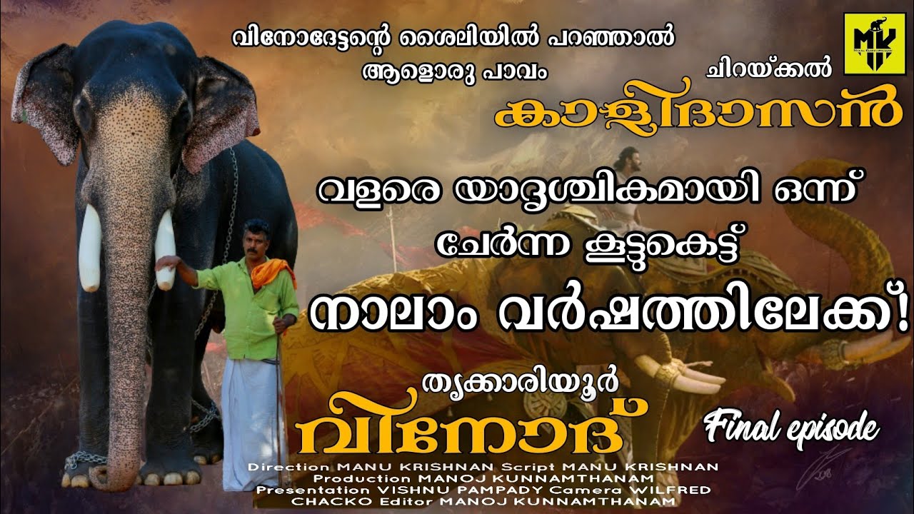 ചിറയ്ക്കൽ കാളിദാസന്റെ വിശേഷങ്ങളുമായി തൃക്കാരിയൂർ വിനോദ് ❤️ Thrikkariyoor Vinod | MK YouTube Channel