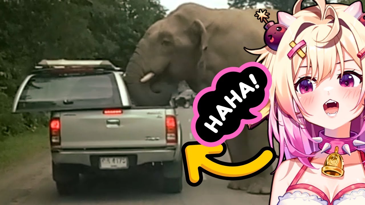 Забавные встречи со страшными животными | rosiebellmoo реагирует на FailArmy