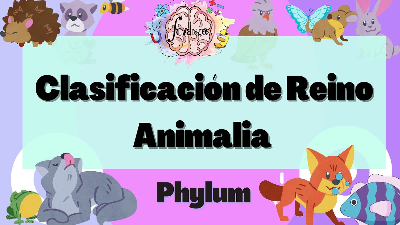 Clasificación del Reino Animal: Los 9 Phylum más importantes