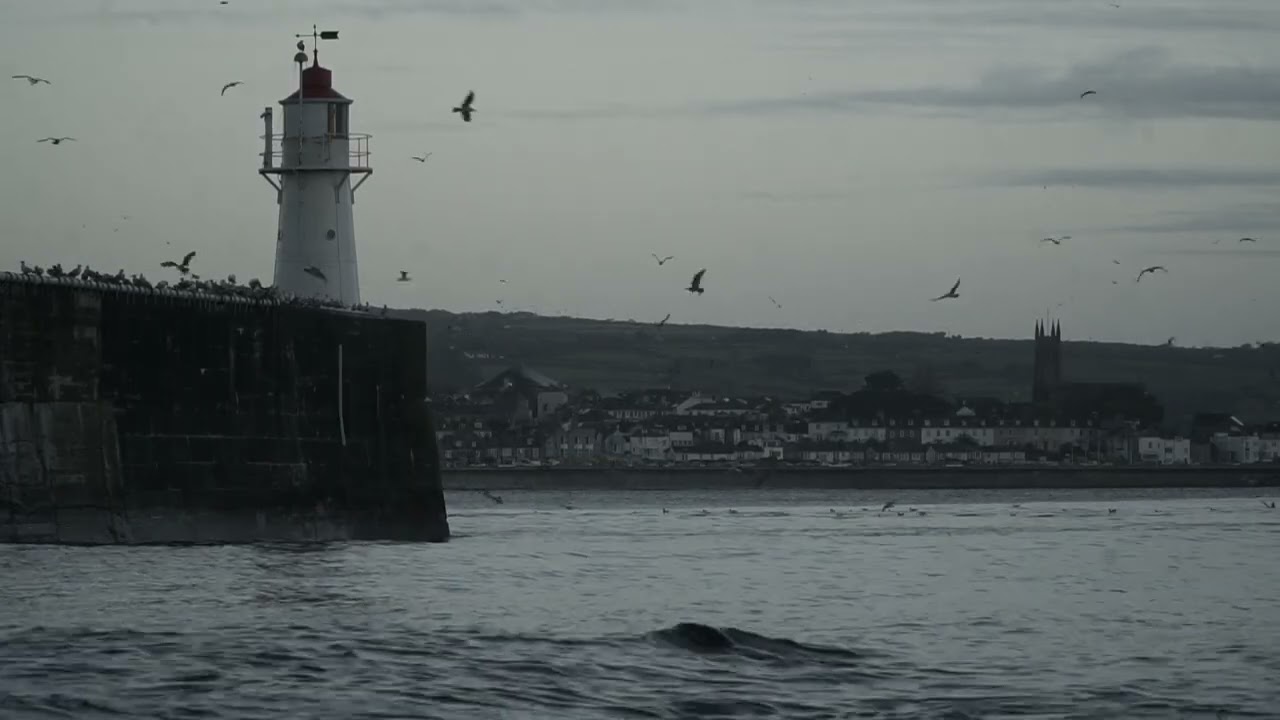 Newlyn Fleet vs. The Swell: Lyonesse & Serene Dawn Find Success