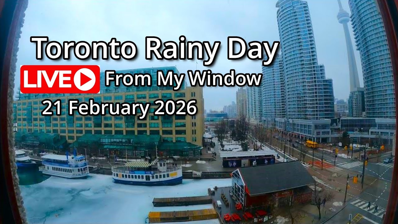 🔴Toronto Window Cam LIVE HD | MaoChow Adventure 21st Feb 2026 Cloudy afternoon