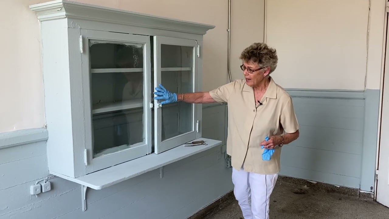 Handwashing, Nursing, and Dr. Susan Dimock