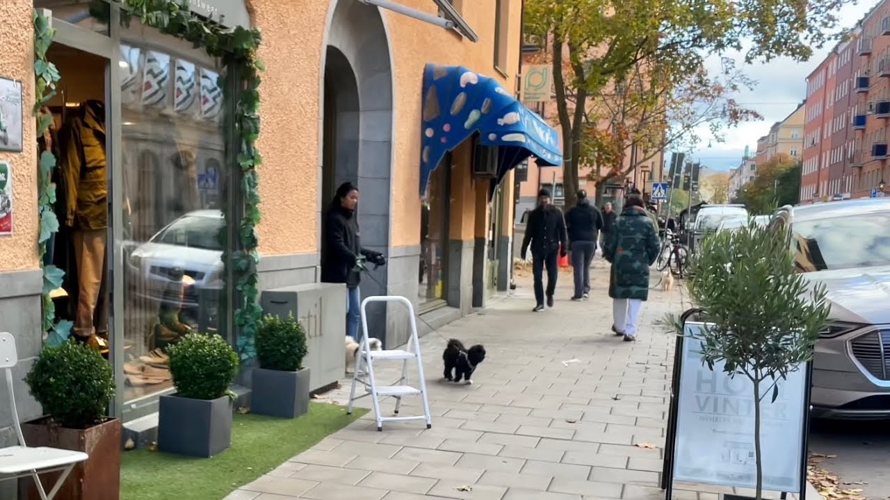 Stockholm Walks: Rörstrandsgatan. Charming street in Vasastan.