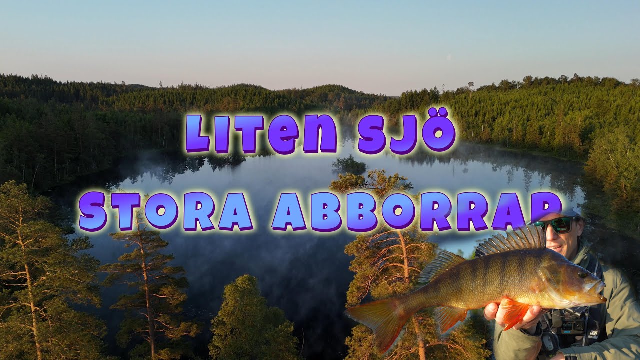 Liten sjö Stora Abborrar?