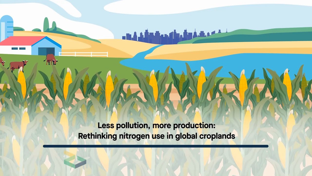 The thorny problem of solving fertilizer pollution while also feeding the world