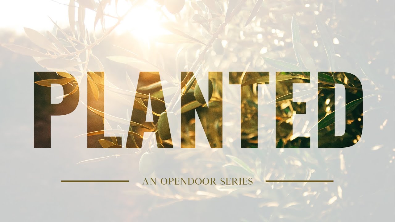 Planted in Psalms | Jerry Sellers | OpenDoor Church