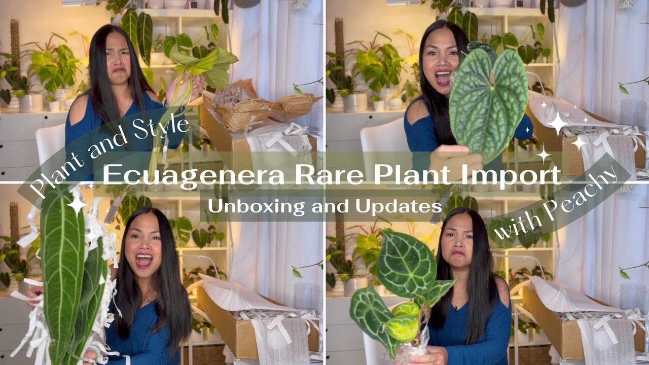 Ecuagenera Rare Plant Import Unboxing and Updates