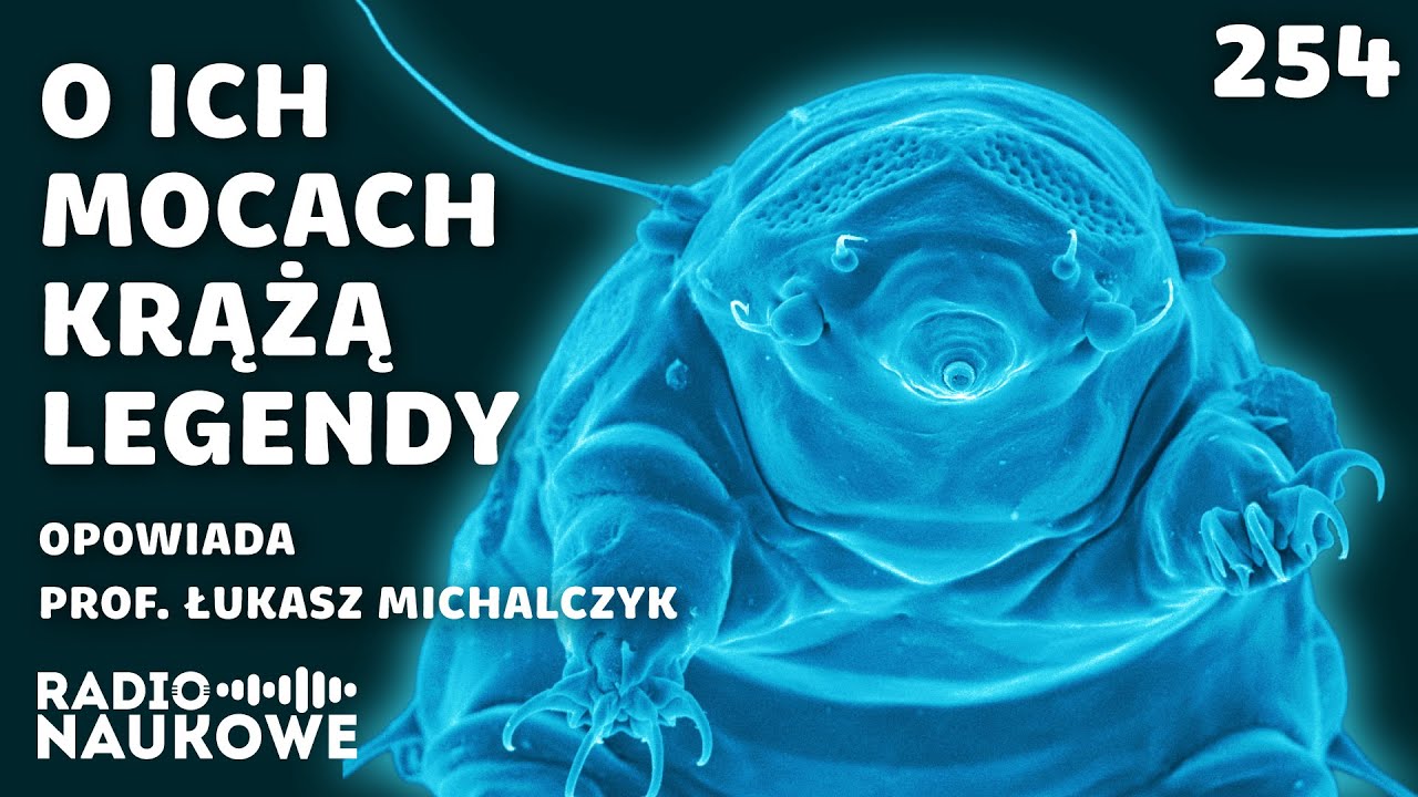 Niesporczaki – twardziele mikroświata, naginający zasady biologii | prof. Łukasz Michalczyk