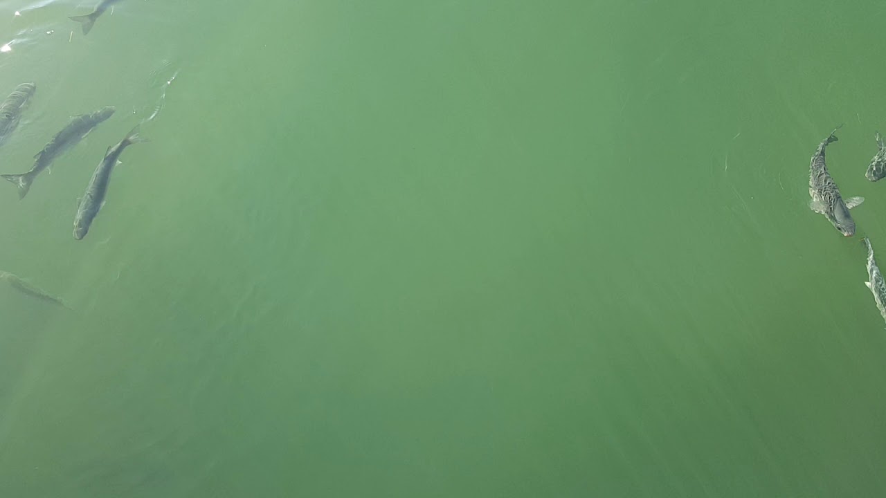 Port Solent, Portsmouth 2018