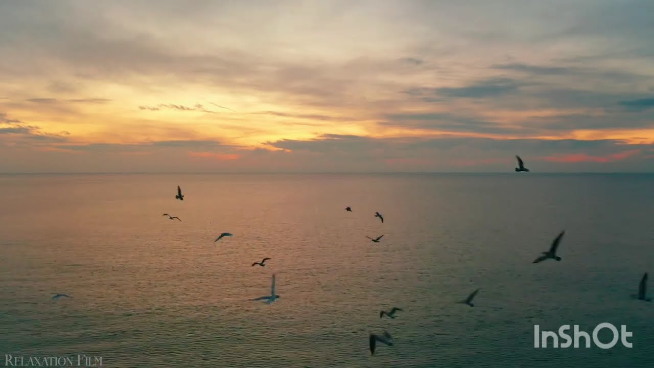 Morning Nature - Relaxation Film - Peaceful Relaxing Music - 4k Video UltraHD