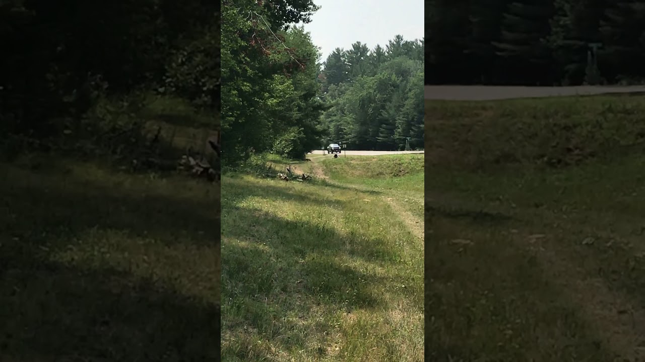 Yamaha yz250f ripping