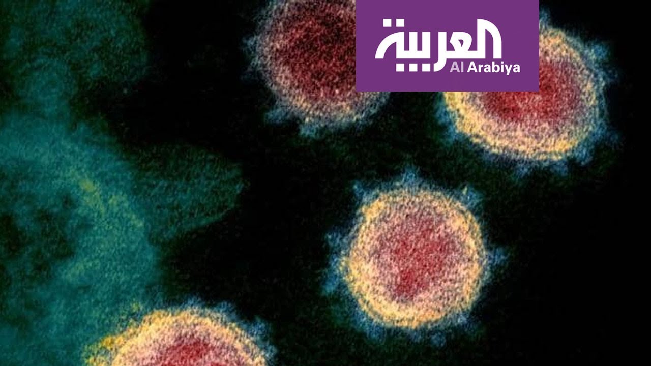بعض المصابين يفقدون حاستي الشم والتذوق.. تعرف على أعراض كورونا الجديدة