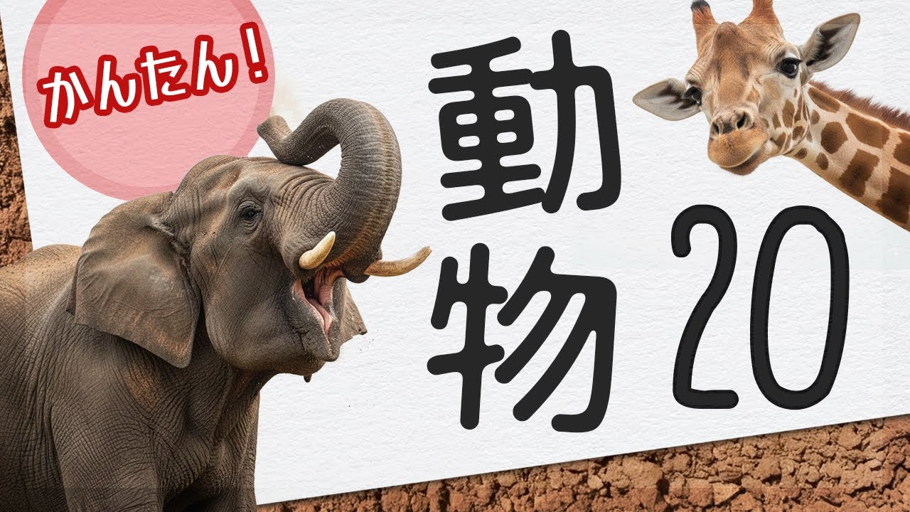 どうぶつ🐘🦒 ｜高速フラッシュカード【知育】20枚