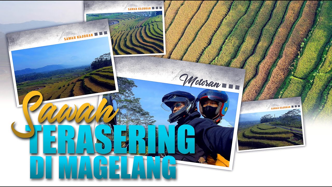 SAWAH KAJORAN YANG EKSOTIS DENGAN LATAR GUNUNG SUMBING | MOTORAN 24Km DARI MAGELANG