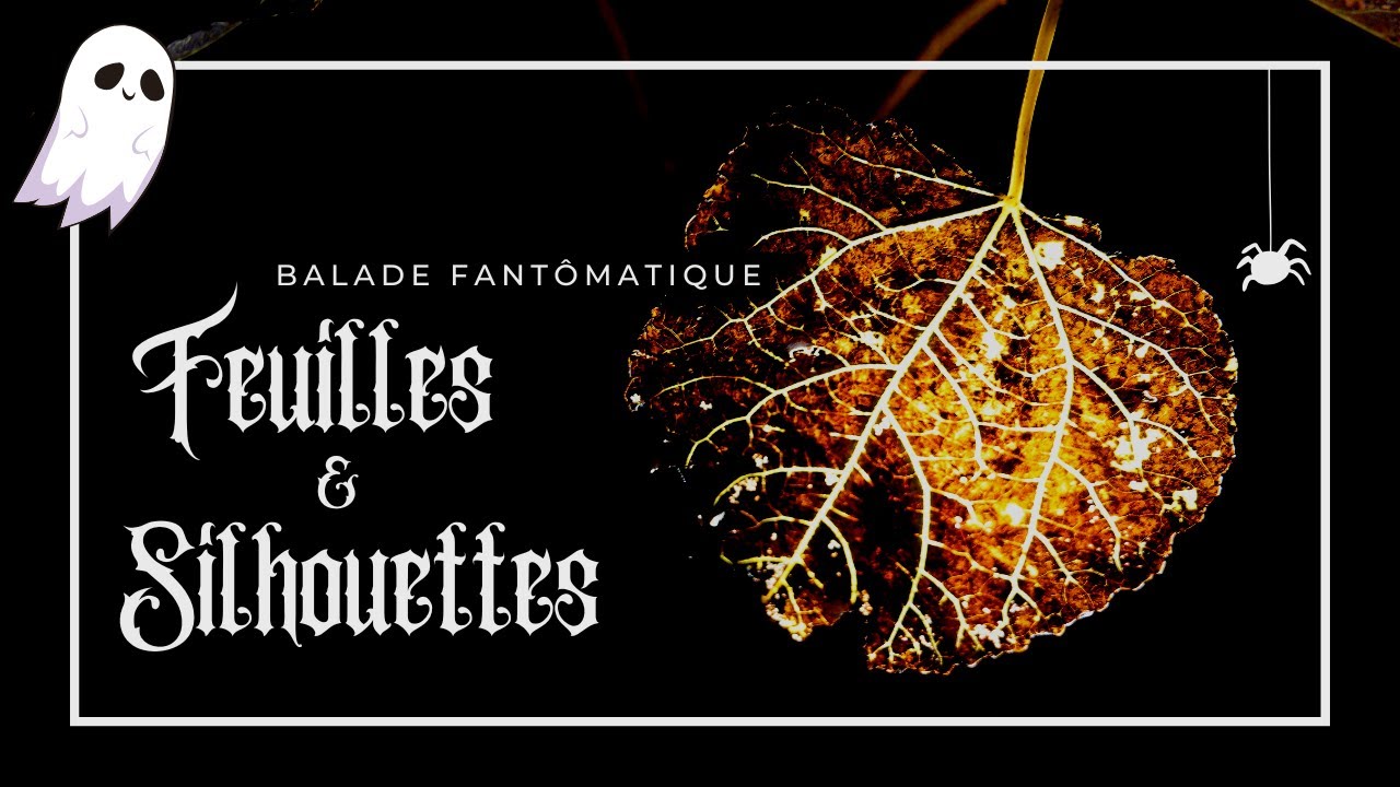 Feuilles & silhouettes,  un conte botanique d'Halloween 👻