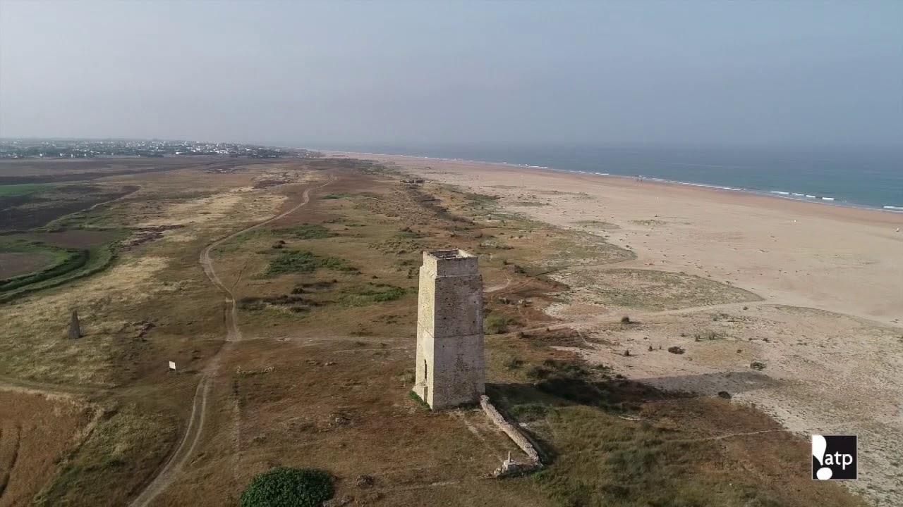 Conil | Playa de Castilnovo | Dron