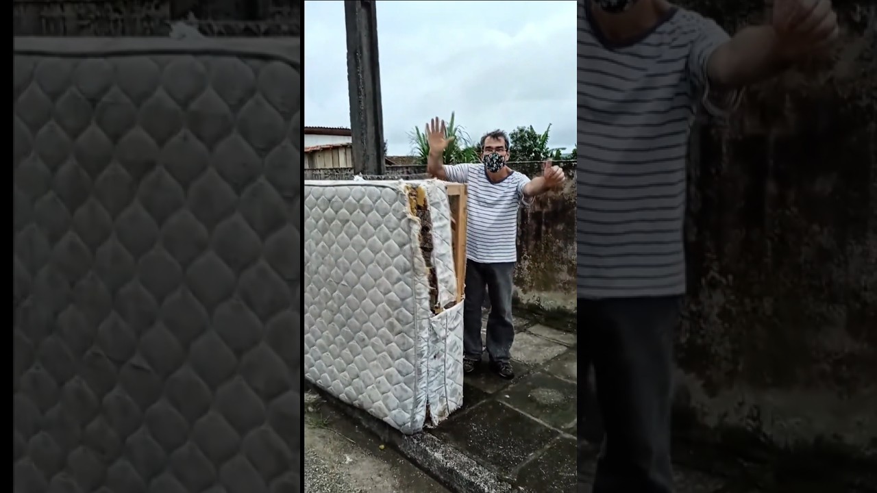 Transformei uma CAMA VELHA em ESTANTE LUXUOSA! 😱 #ReciclagemCriativa