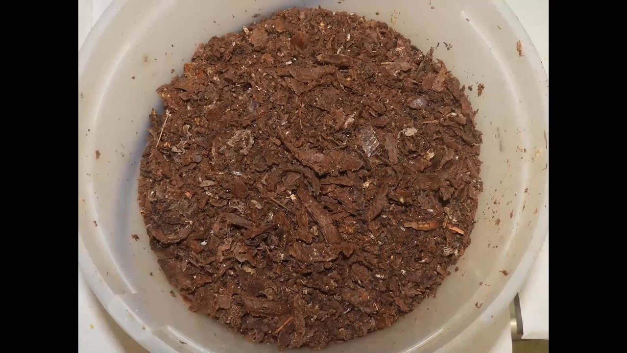 Propolis, from the Hive to the Bottle