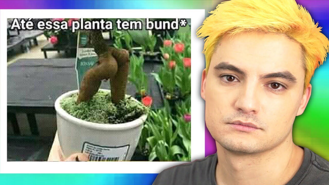 MEMES COM A MINHA TRASEIRA - APEI [+10]