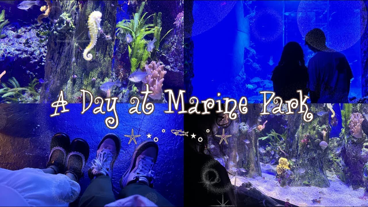 A Day at Marine Park Bali! 🐟🐠🐡