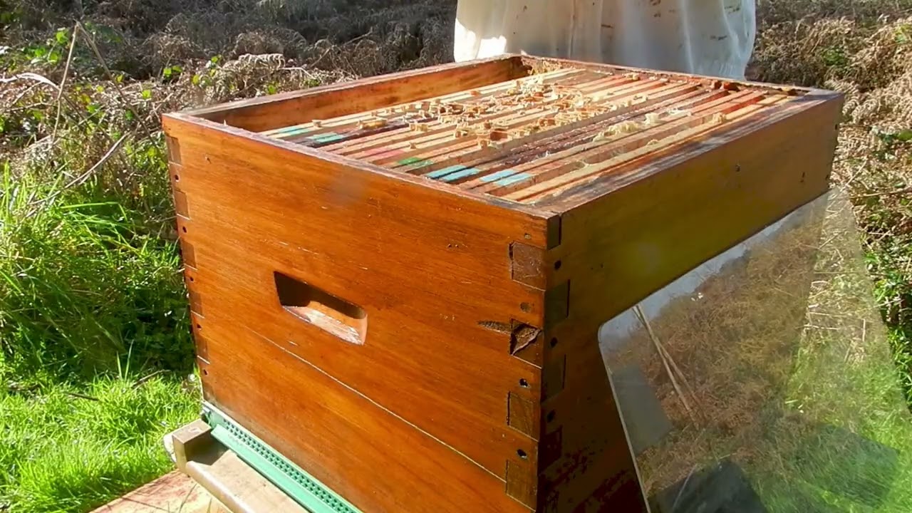 Les ruches avec l'arrivée du printemps on regarde mais on ne touche pas encore !