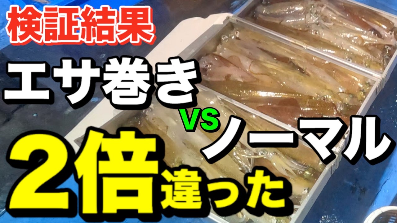 【ヤリイカメタル】エサ巻きは邪道？釣果に2倍の差がついた理由を徹底検証
