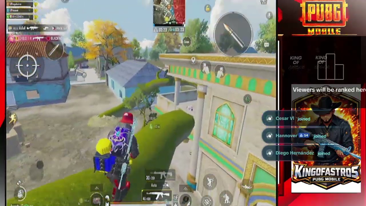 pubg  de bot