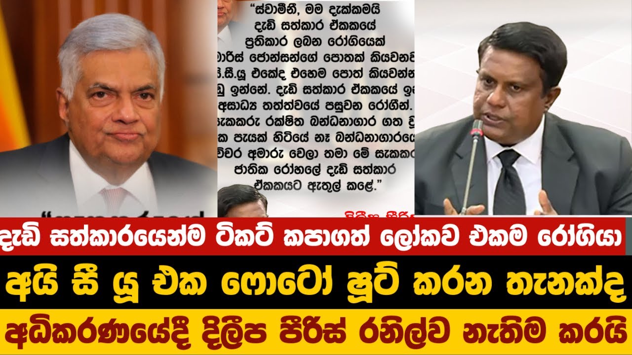 දැඩි සත්කාරයෙන්ම ටිකට් කපාගත් ලෝකව  එකම රෝගියා // අධිකරණයේදී දිලීප පීරිස් රනිල්ව නැතිම කරයි
