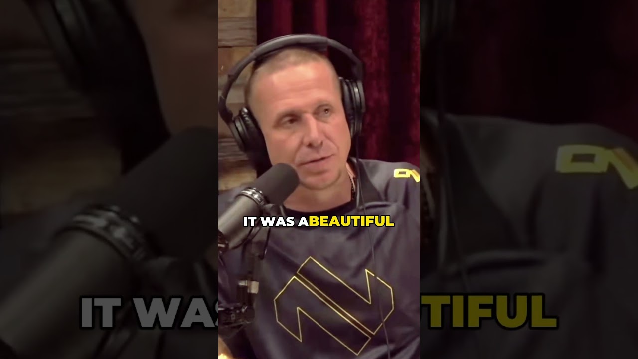 Дикая реакция Трампа на UFC в Белом доме! 💀